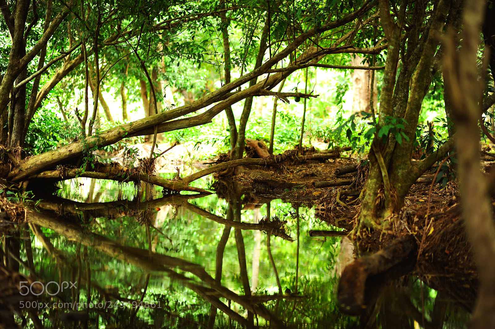 Nikon D700 sample photo. Black bay, grenada photography
