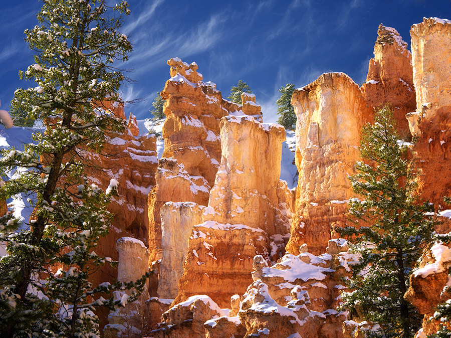 Pentax 645D sample photo. Snow in bryce canyon national park, utah photography