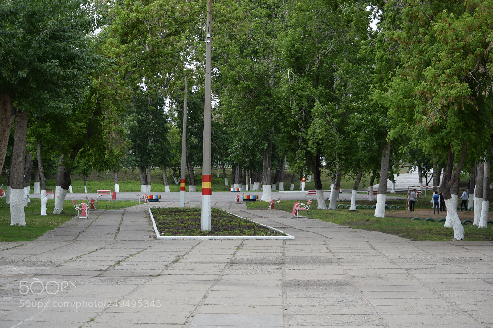 Nikon D5300 sample photo. Вход photography