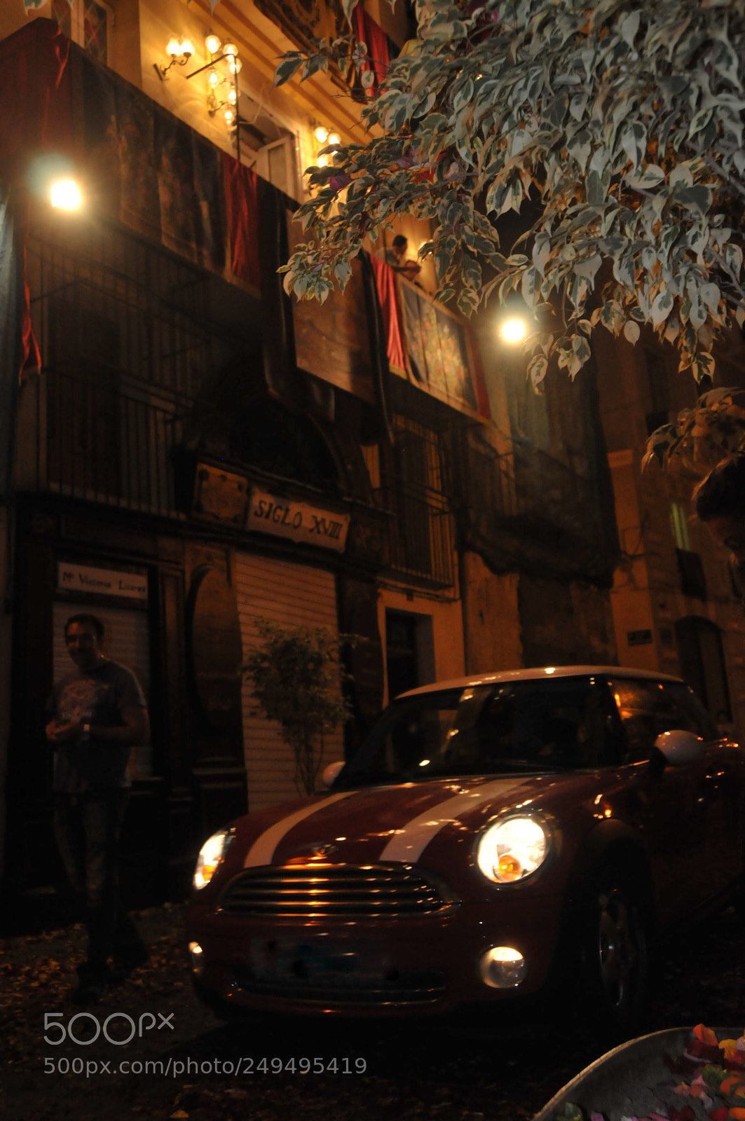 Nikon D300 sample photo. Mini photography