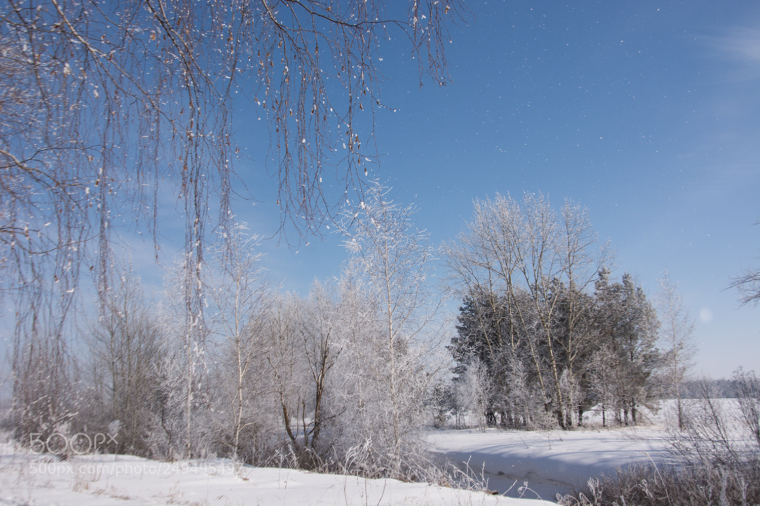 Nikon D7100 sample photo. Падает иней... кружась и сверкая... photography