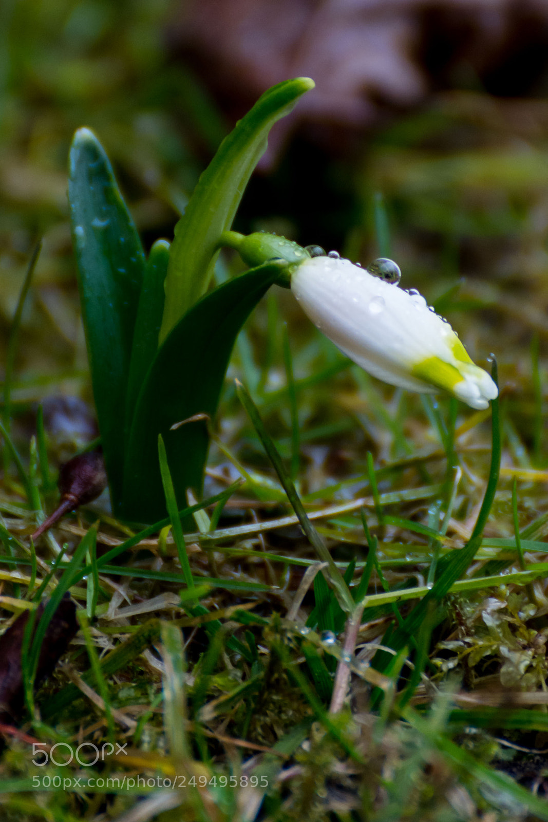 Nikon D7200 sample photo. Untitled photography