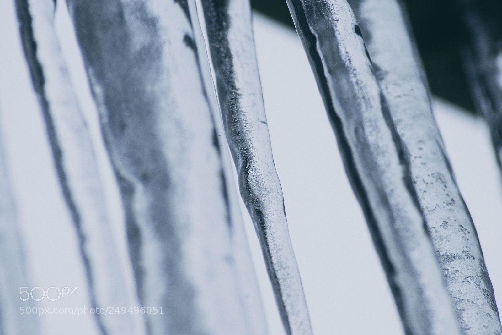 Nikon D3300 sample photo. Icicles photography