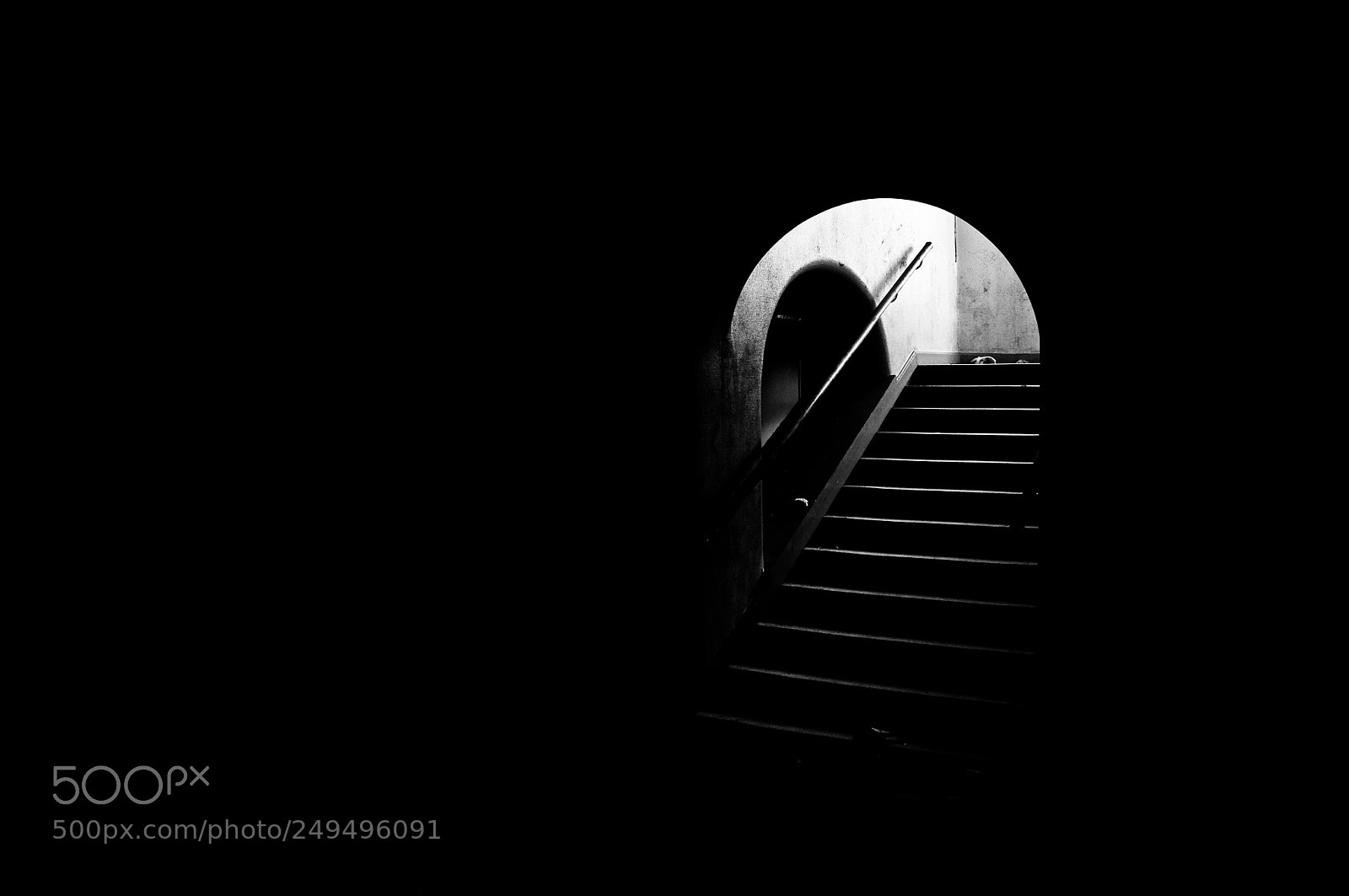 Nikon D5000 sample photo. Step into the light photography