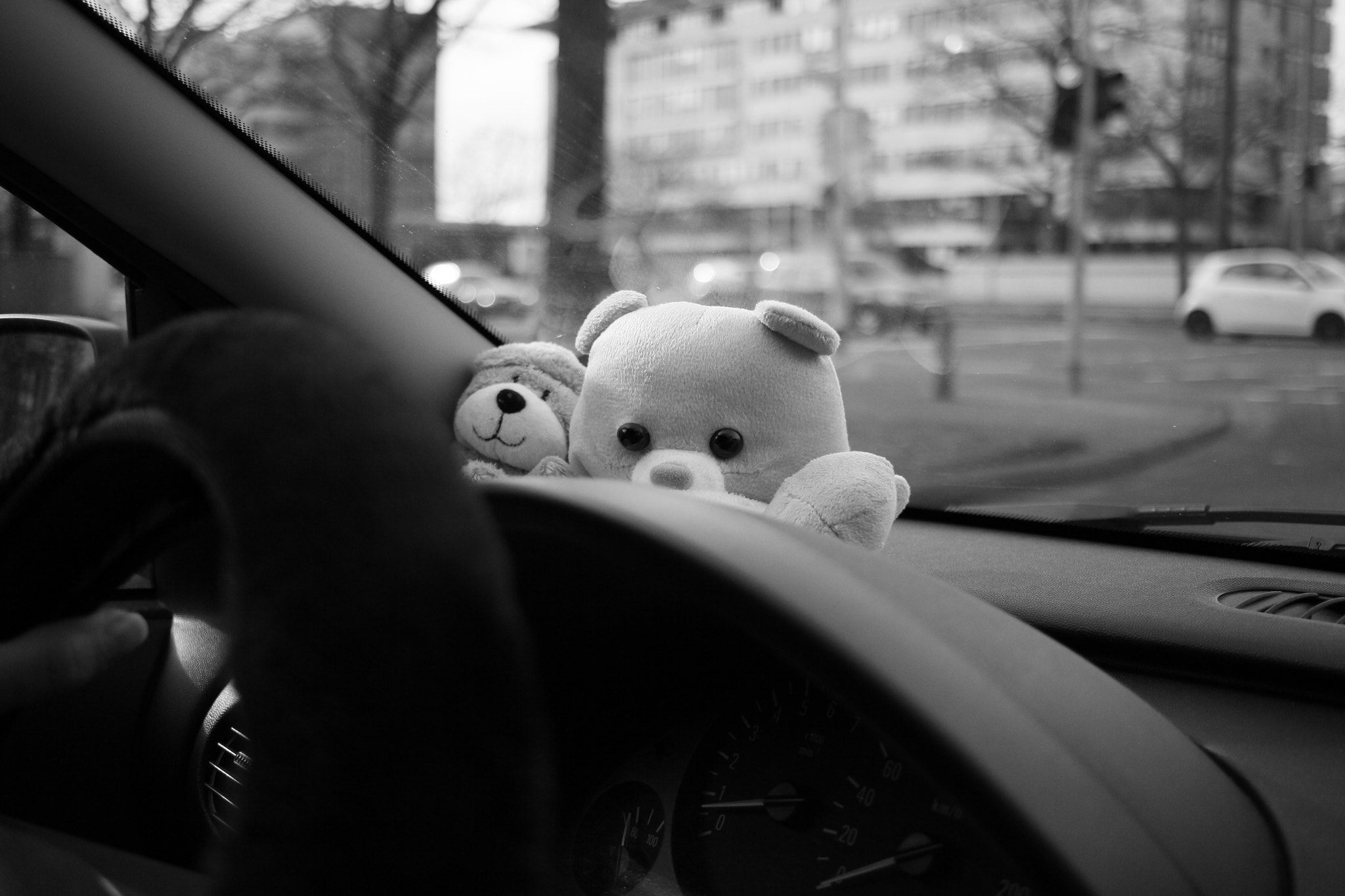 Canon EF-S 24mm F2.8 STM sample photo. Untitled photography