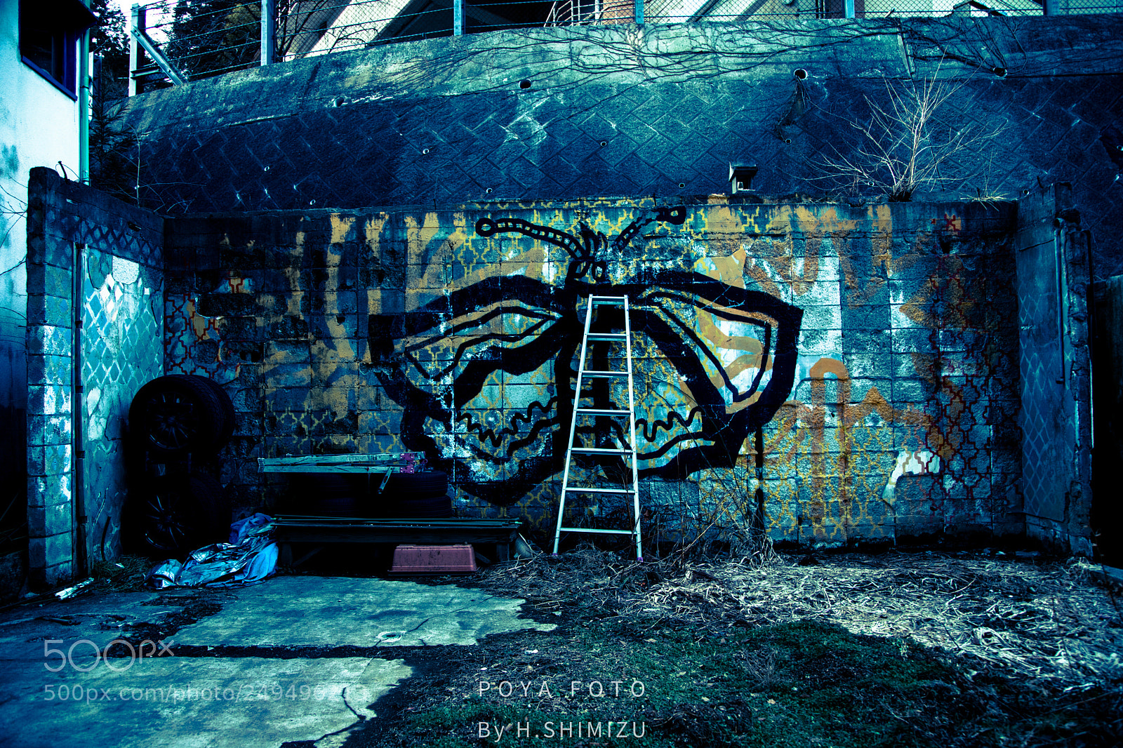 Canon EOS 5D Mark IV sample photo. The wall photography