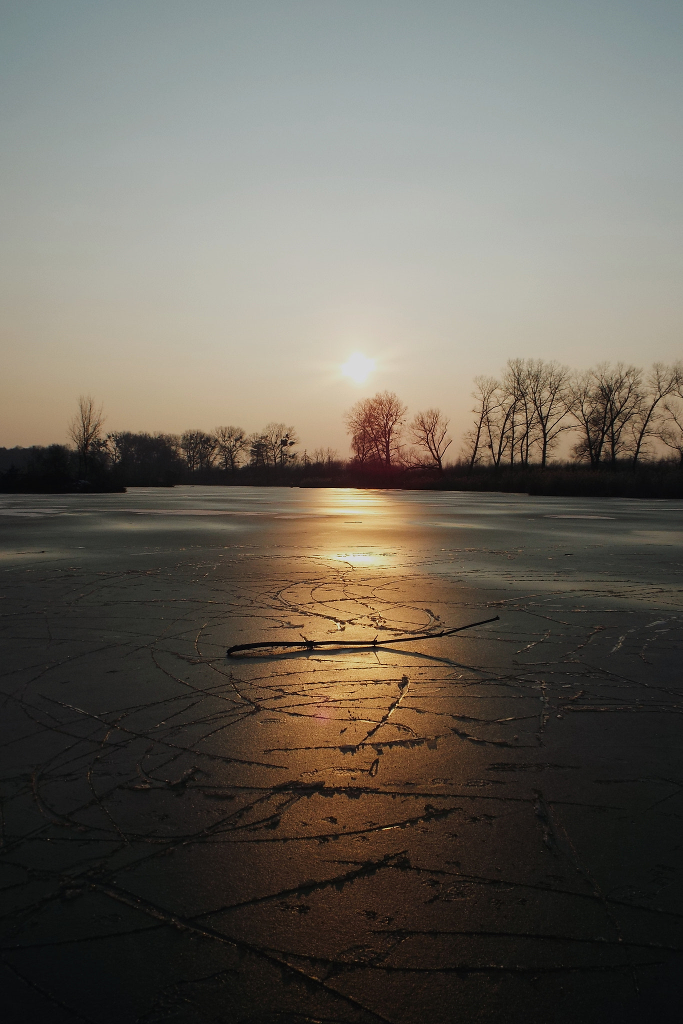 Fujifilm FinePix S9800 sample photo. Lead the way photography