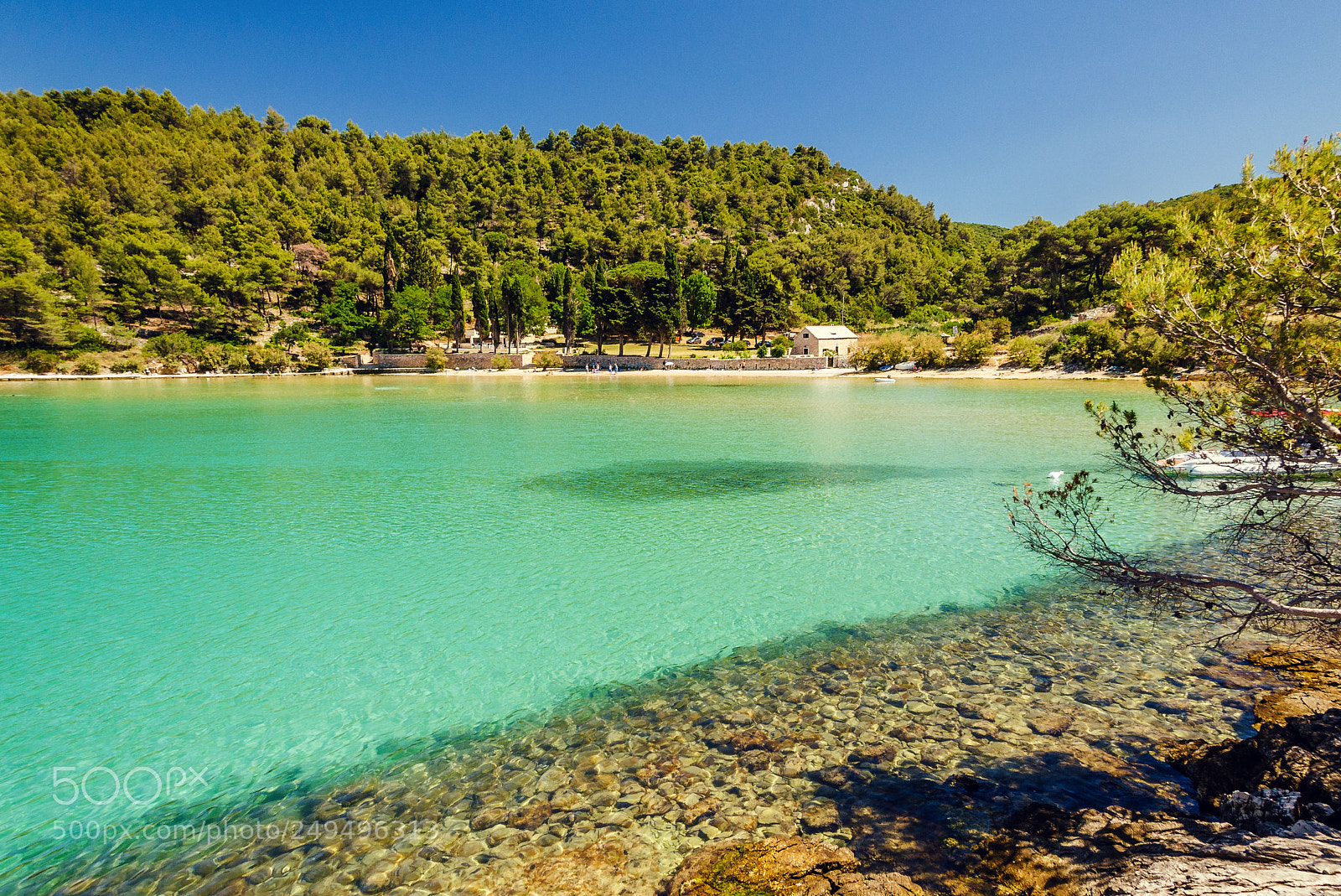 Nikon D5100 sample photo. Island brac photography