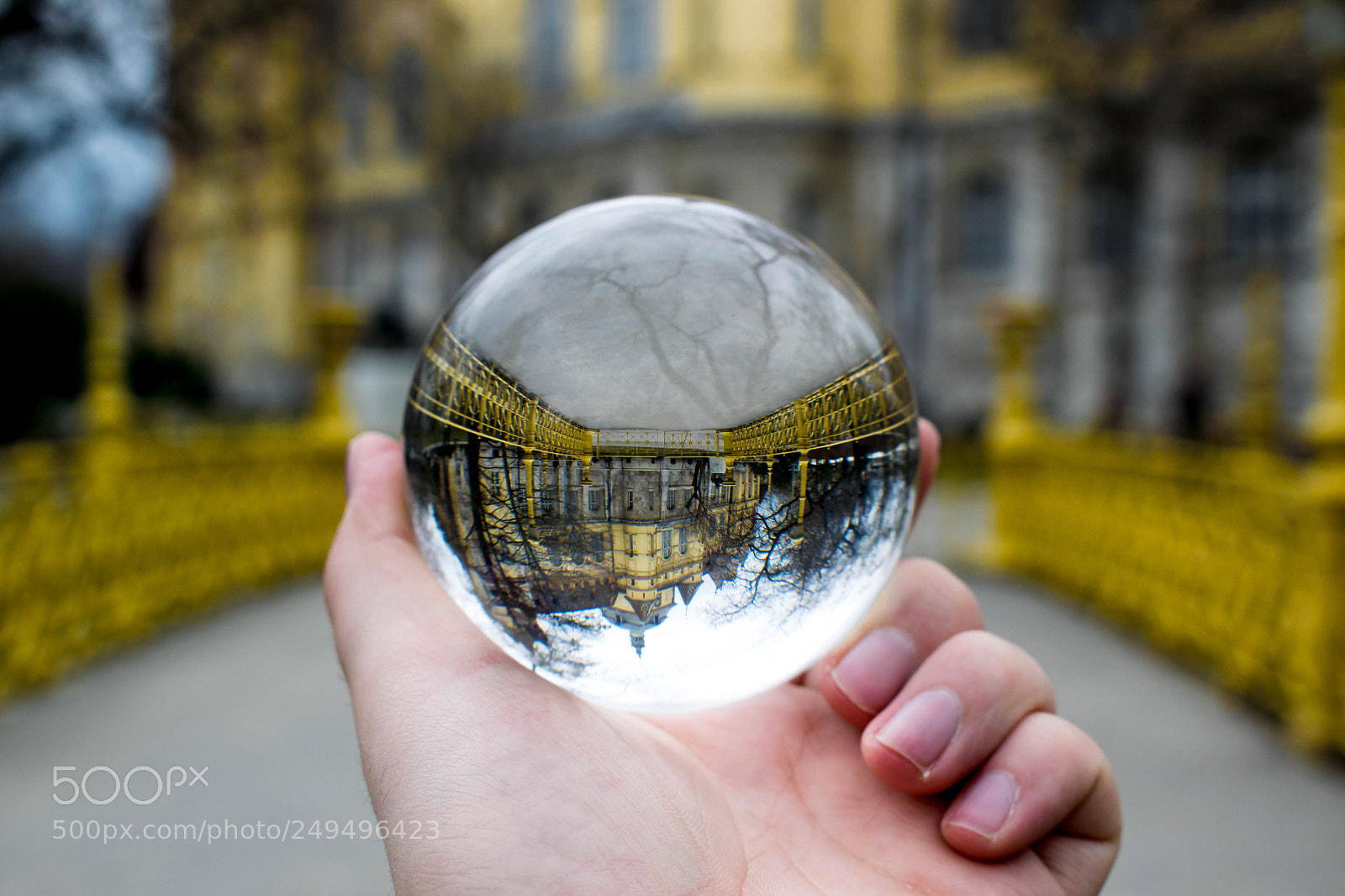 Nikon D5300 sample photo. Through the glass photography