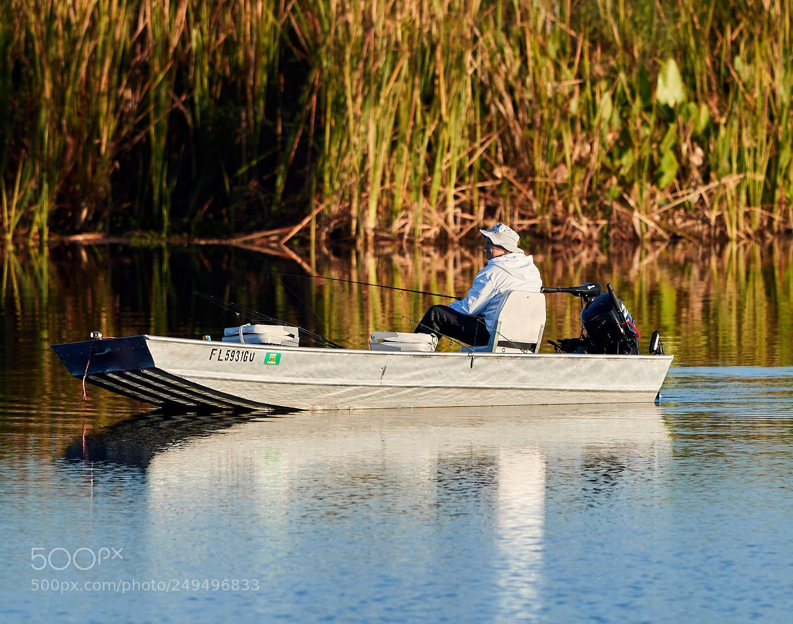 Canon EOS-1D X Mark II sample photo. 03-16-18-0007653.jpg photography
