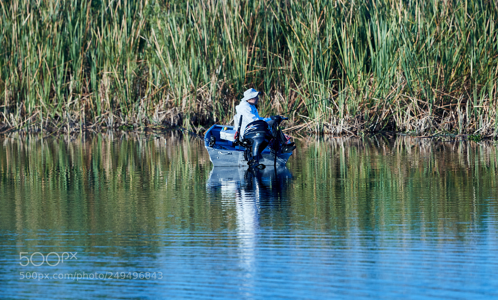Canon EOS-1D X Mark II sample photo. 03-16-18-0007645.jpg photography
