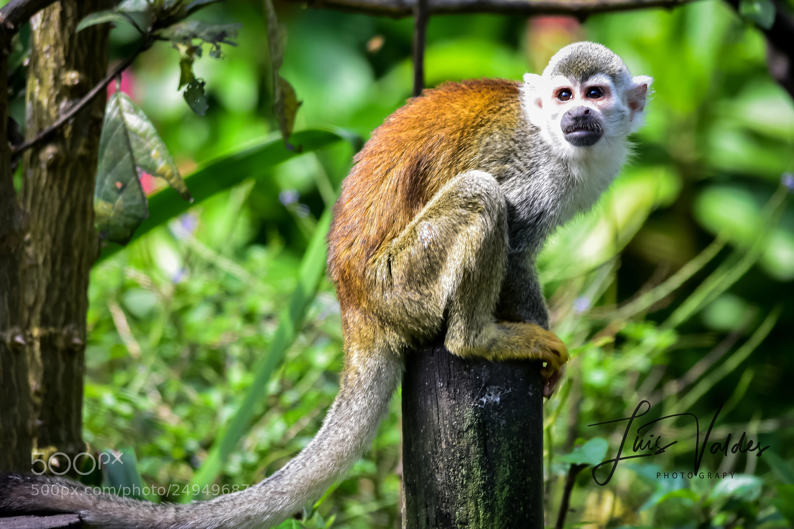 Nikon D7200 sample photo. Friday! photography