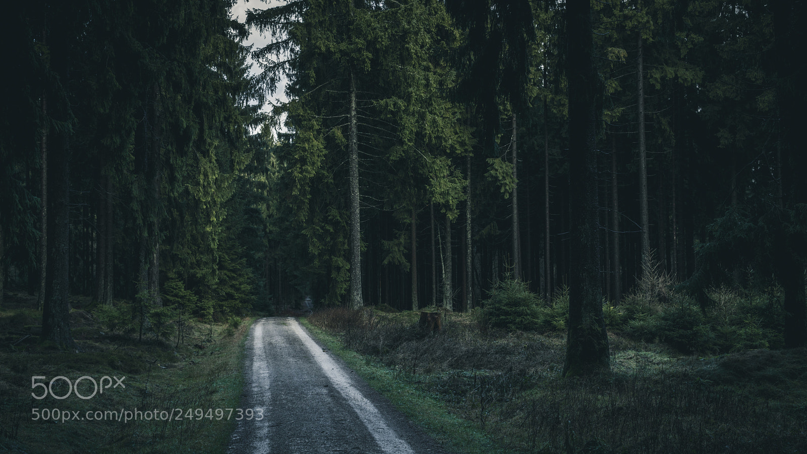 Sony a6300 sample photo. Taunus iii photography