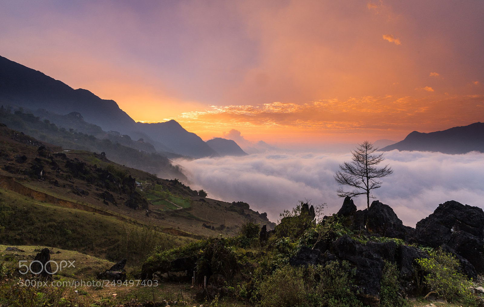 Nikon D610 sample photo. Welcome sapa dawn photography
