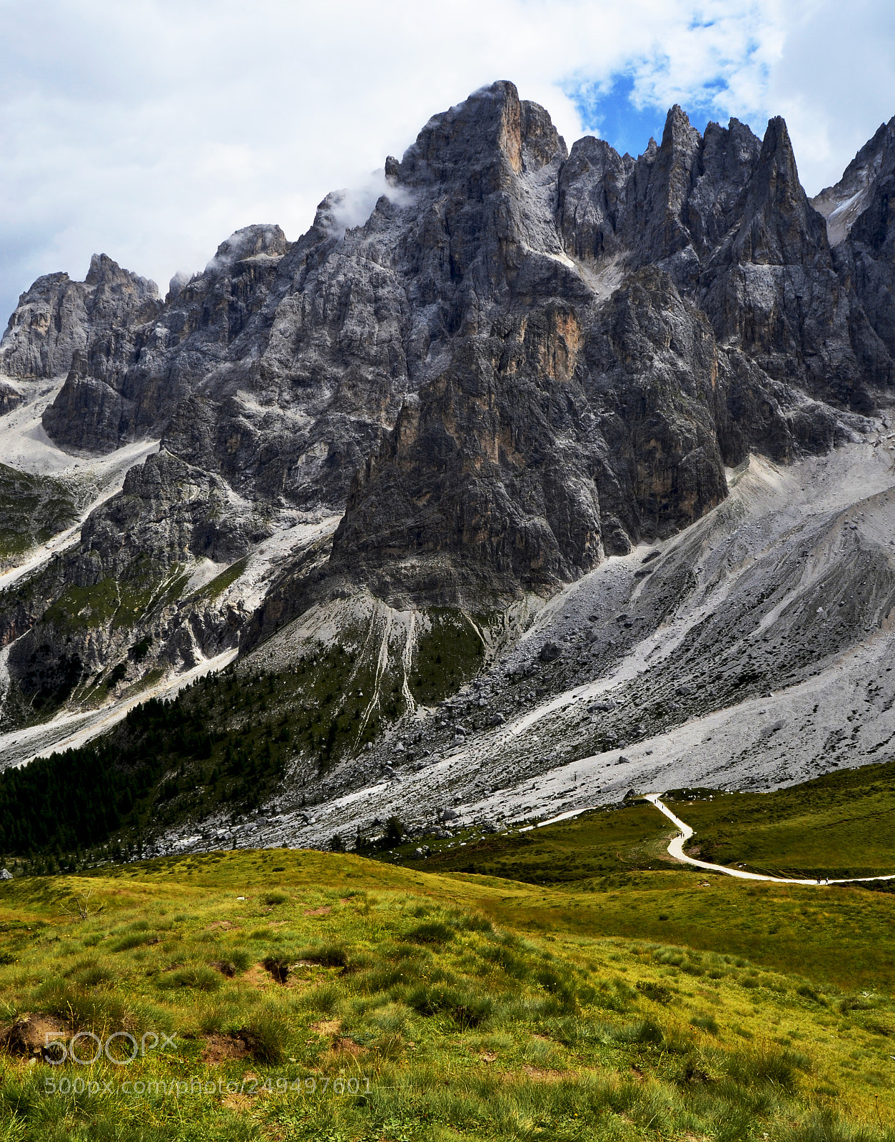 Nikon D3100 sample photo. Pale di san martino photography