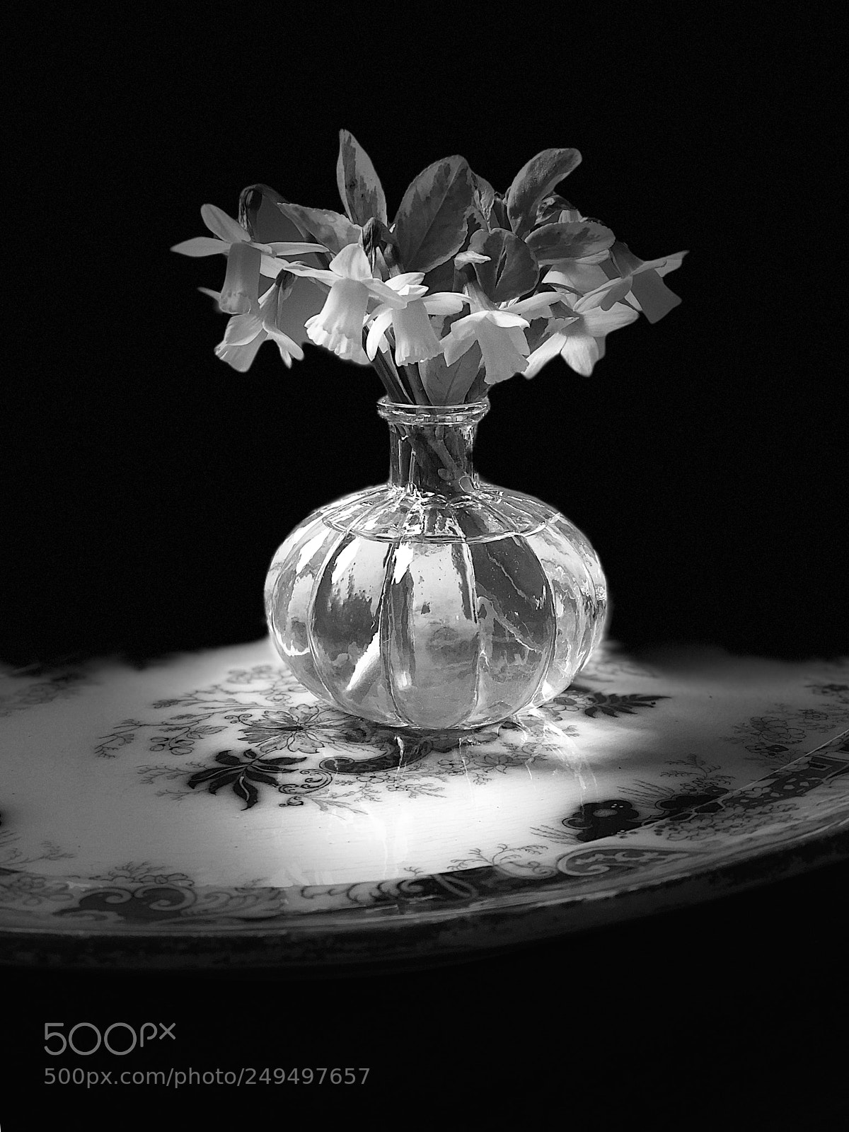 Apple iPhone X sample photo. Narcissi photography