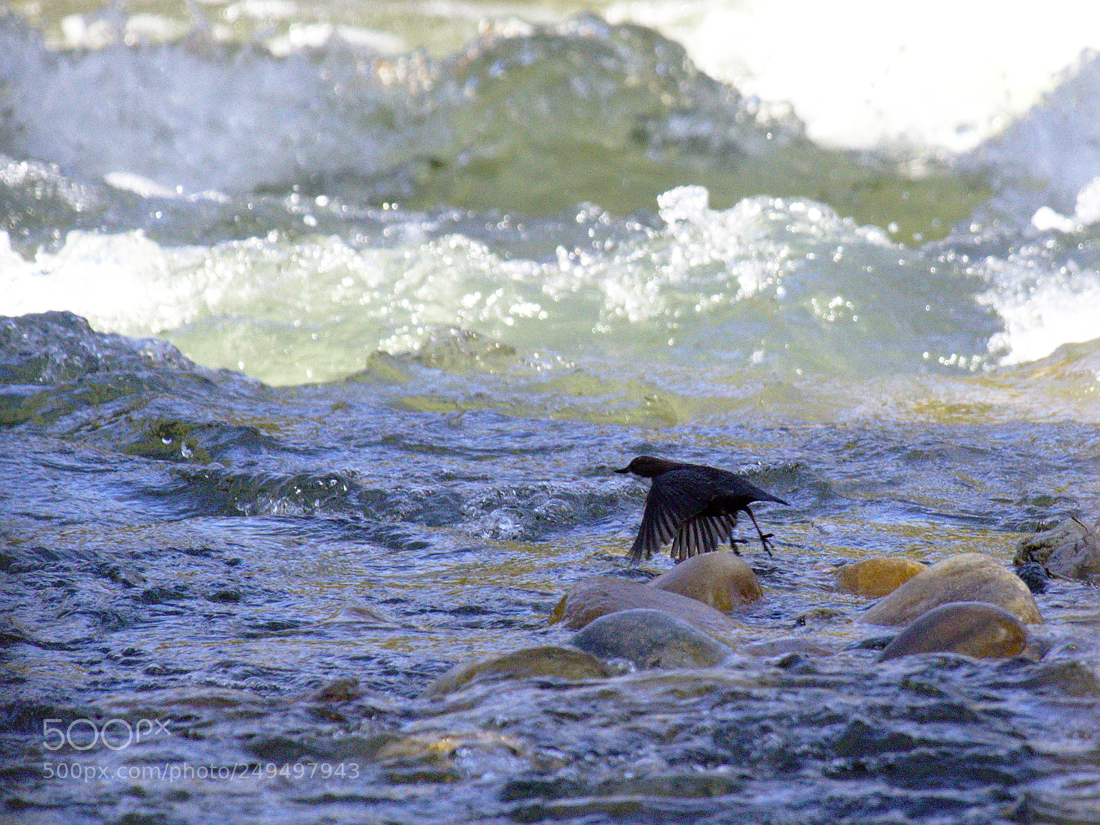 Olympus OM-D E-M10 sample photo. Crossing the river photography