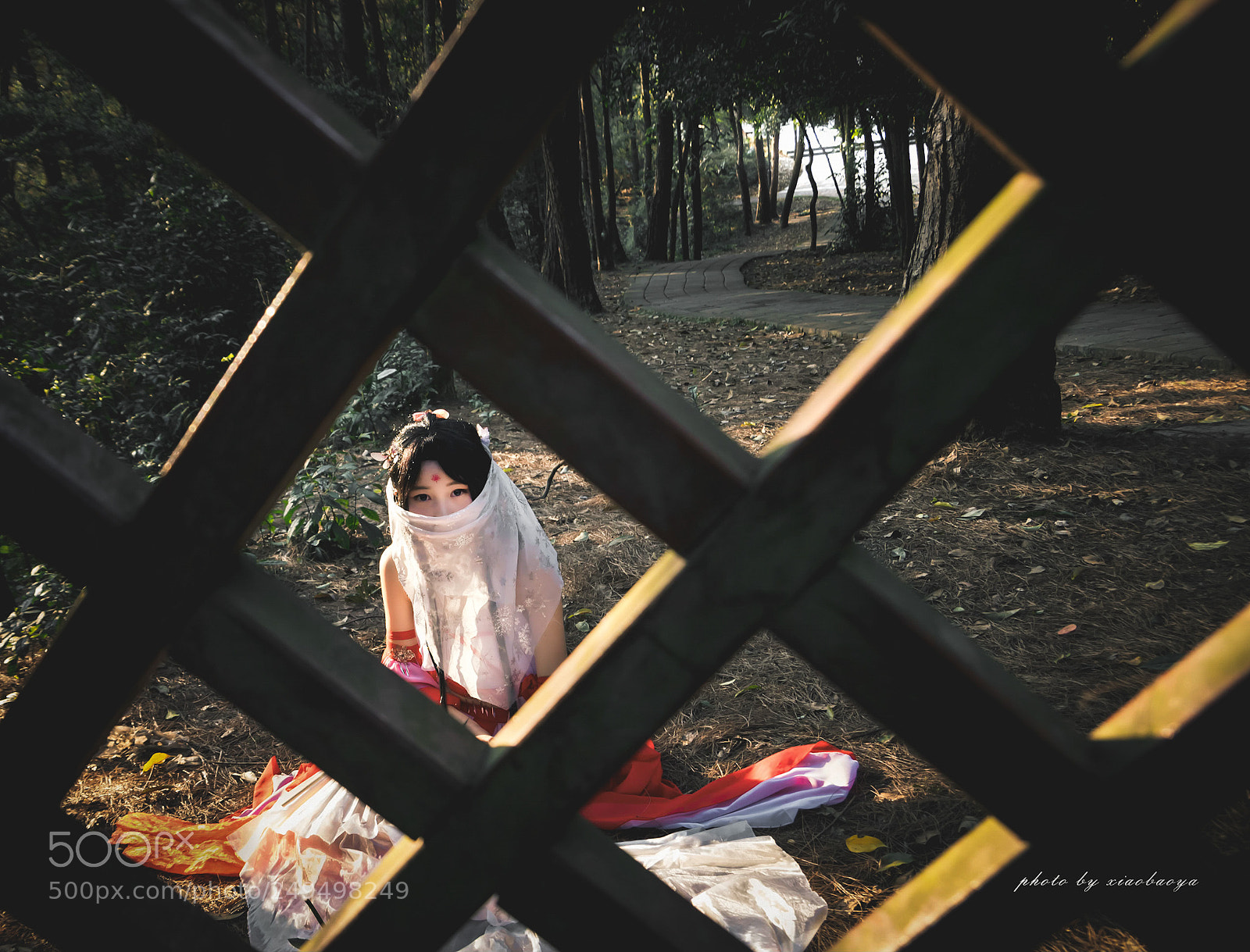 Pentax K-S2 sample photo. Untitled photography
