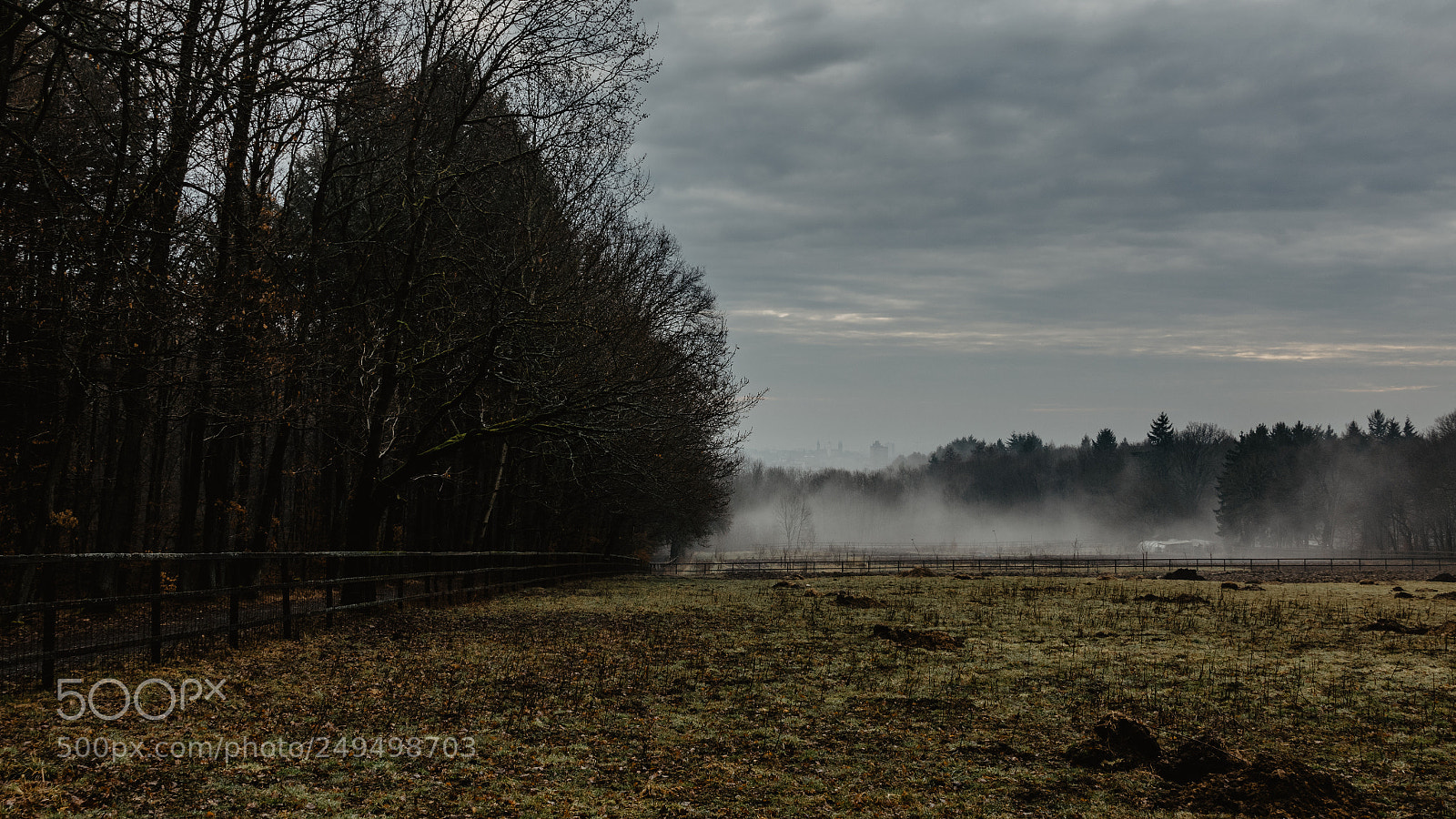 Sony Cyber-shot DSC-RX100 IV sample photo. Taunus iv photography