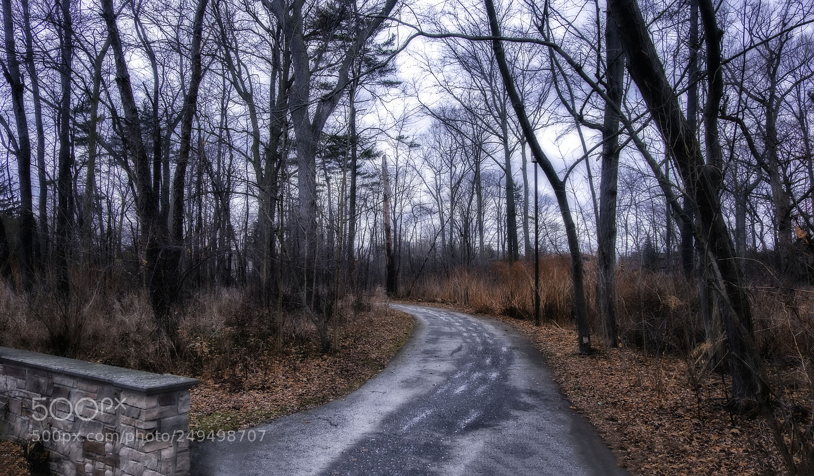 Fujifilm X-E2 sample photo. Adamson estate photography