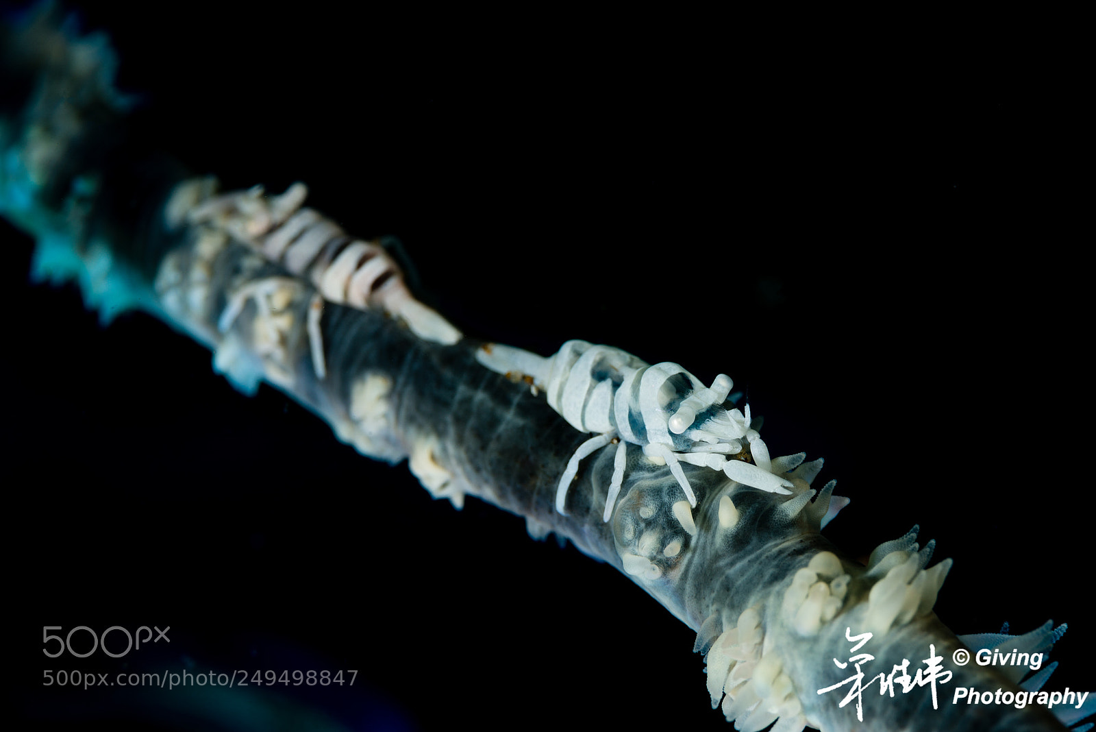Nikon D800 sample photo. Untitled photography