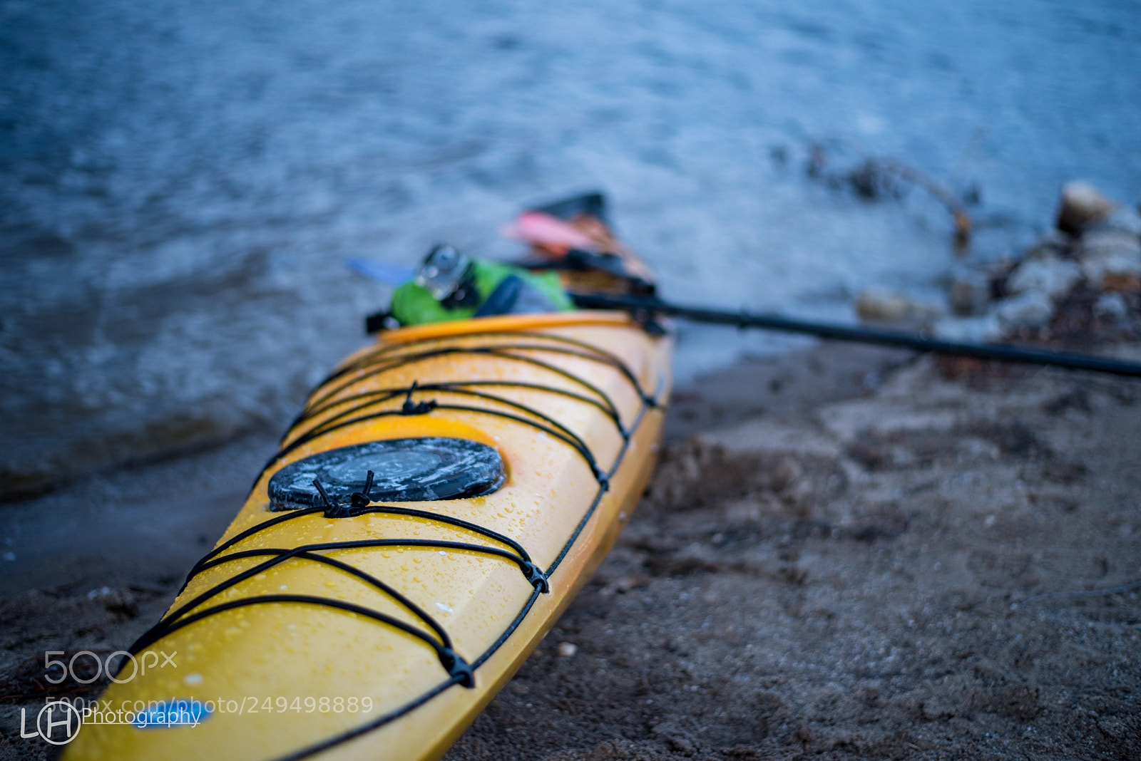 Nikon D810 sample photo. Untitled photography