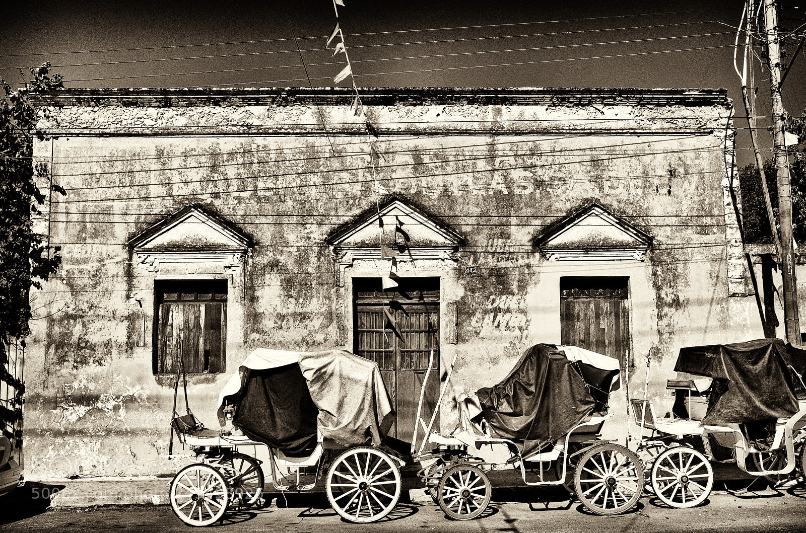 Ricoh GR sample photo. Buggies at rest photography