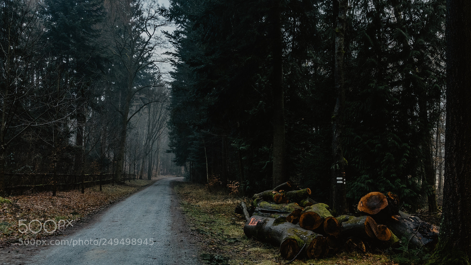 Sony Cyber-shot DSC-RX100 IV sample photo. Taunus v photography