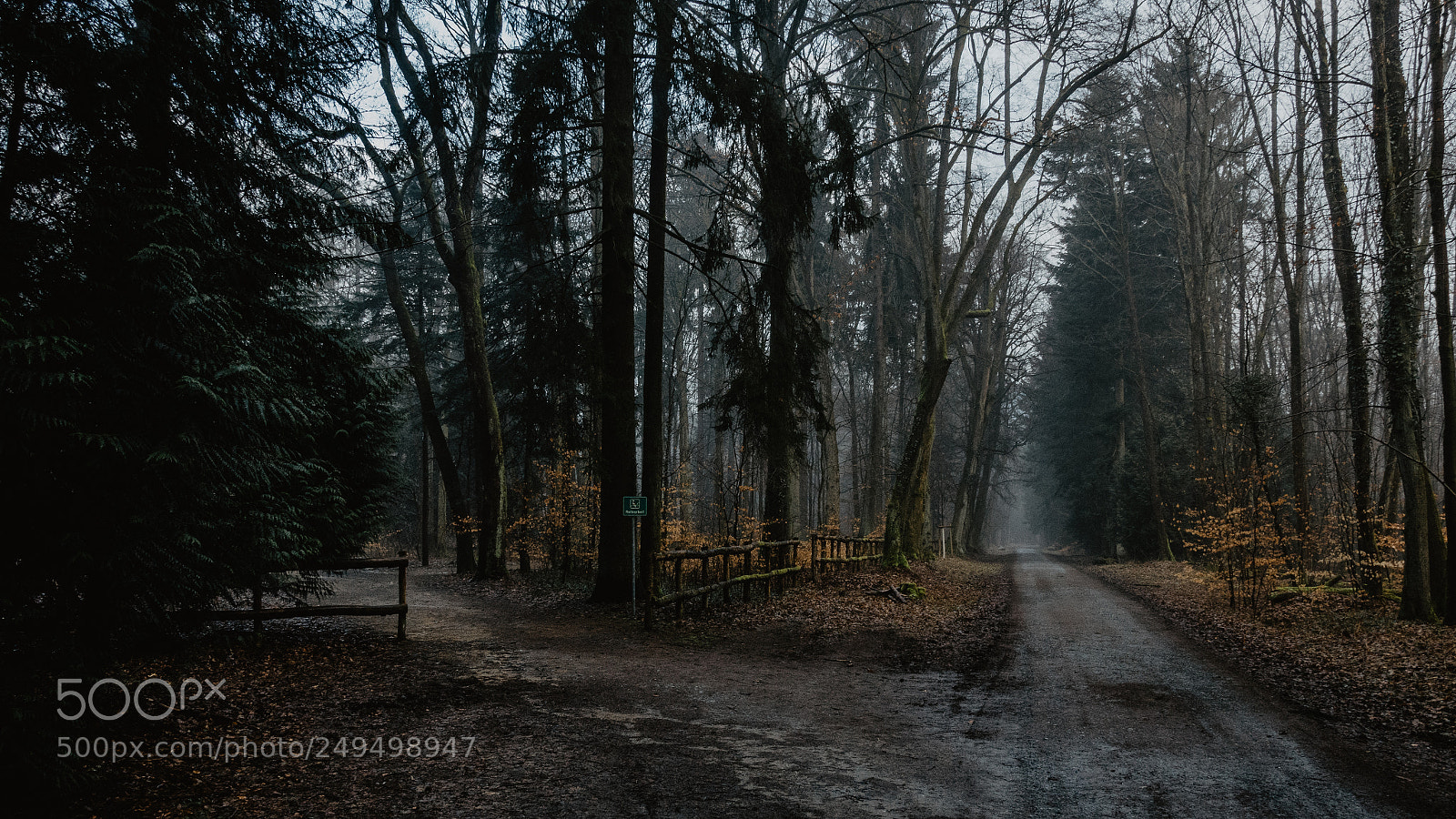 Sony Cyber-shot DSC-RX100 IV sample photo. Taunus vi photography