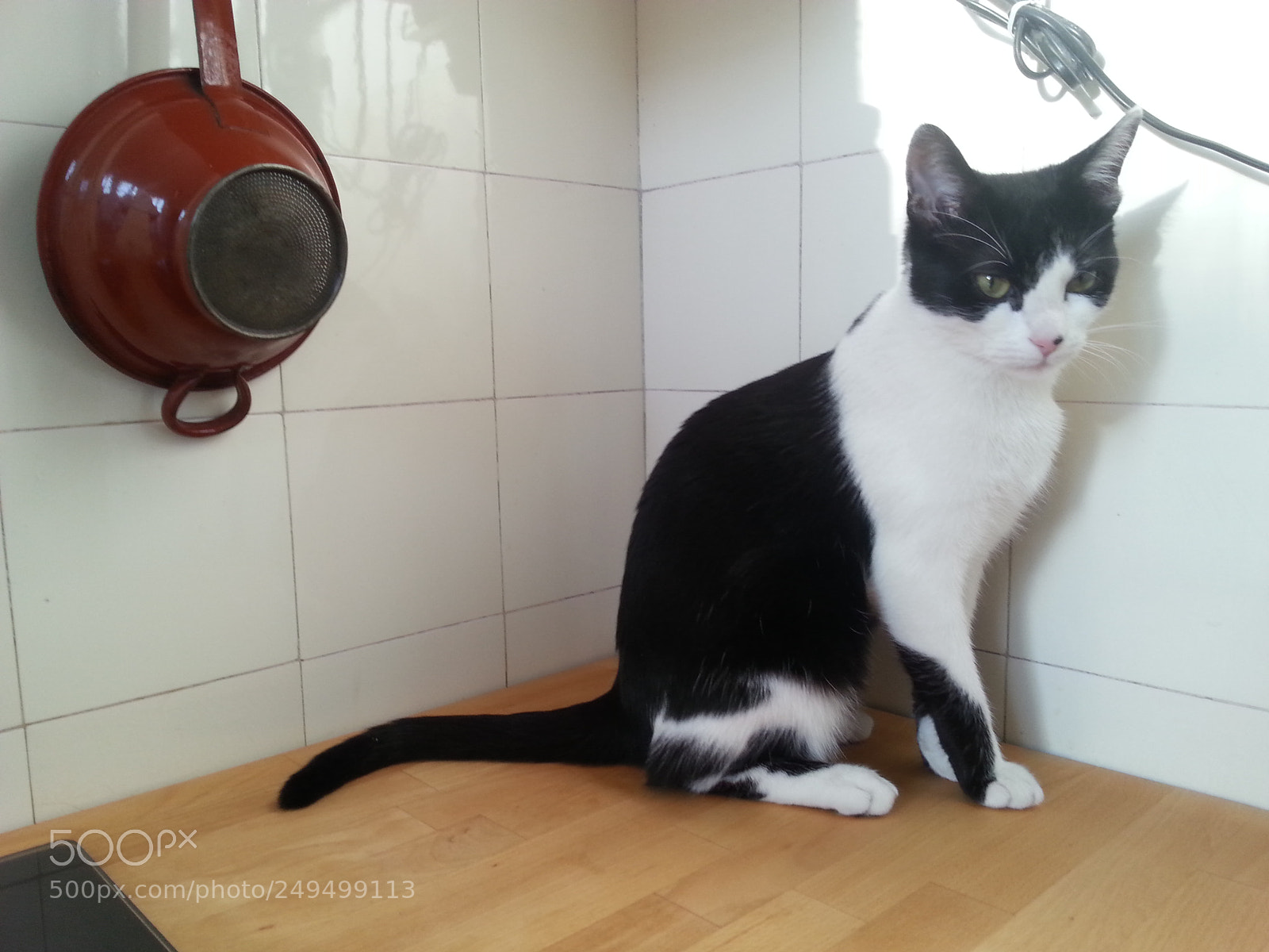 Samsung Galaxy S3 sample photo. Dans la cuisine photography
