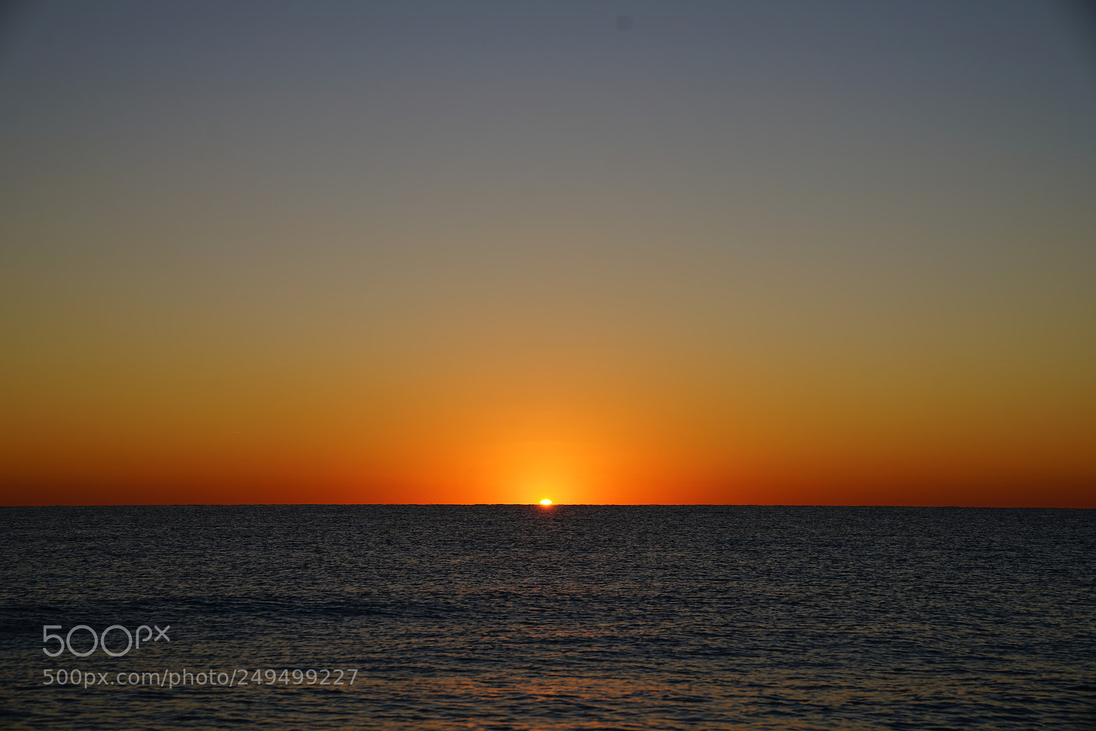 Sony a7R II sample photo. Good morning hollywood beach photography