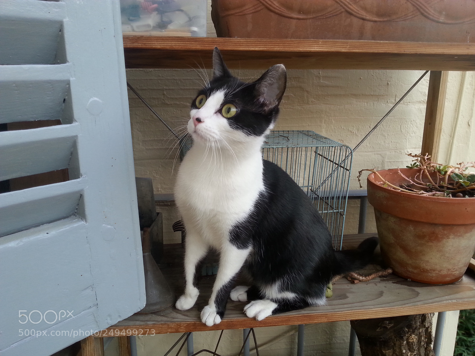 Samsung Galaxy S3 sample photo. Exploration photography