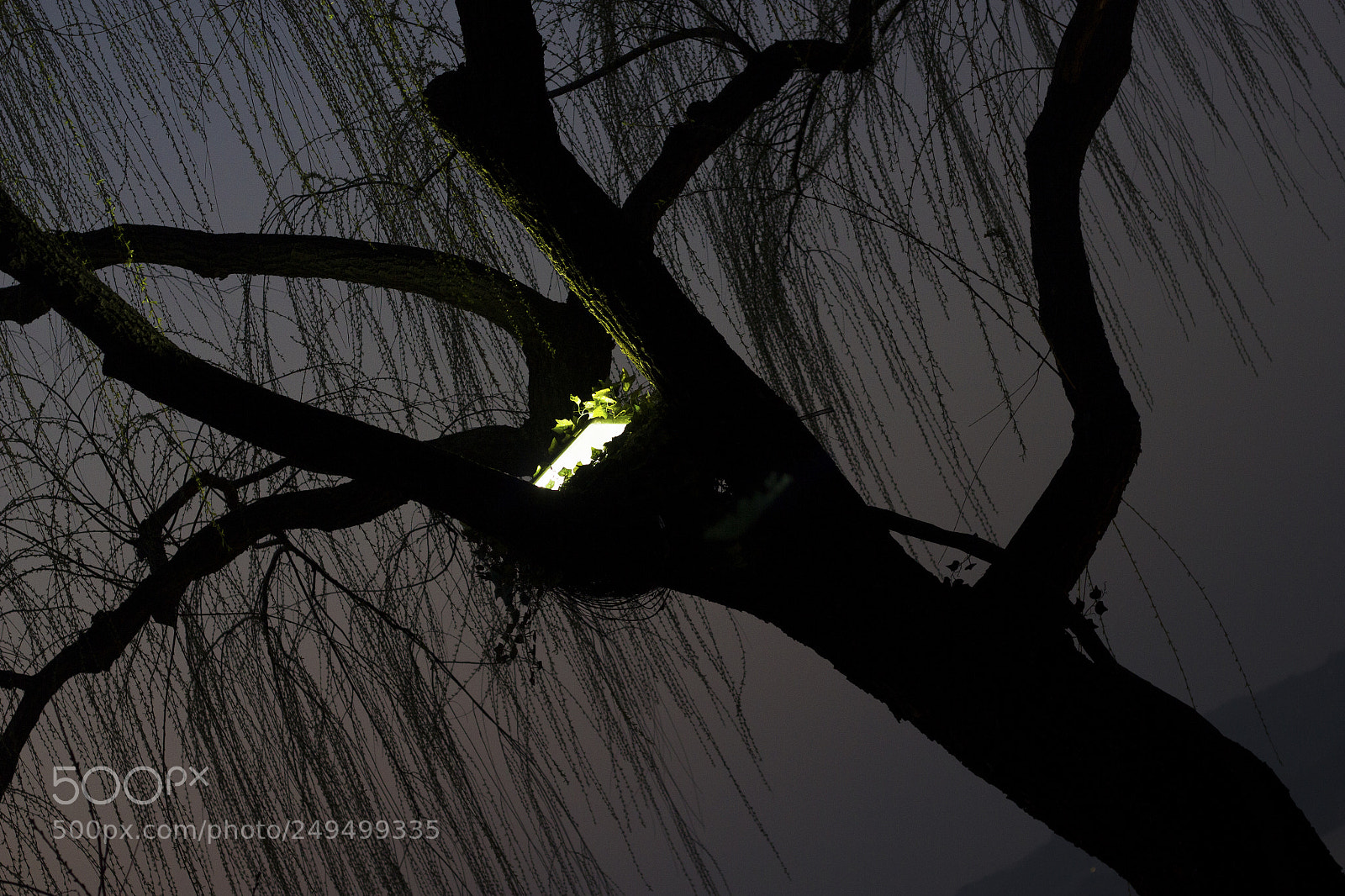 Canon EOS 550D (EOS Rebel T2i / EOS Kiss X4) sample photo. 入夜 photography