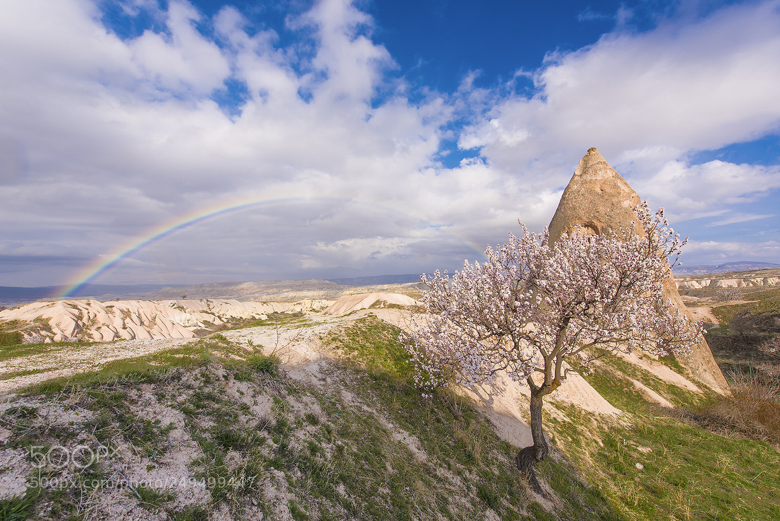 Nikon D810 sample photo. Cappadocia'n rainbow photography