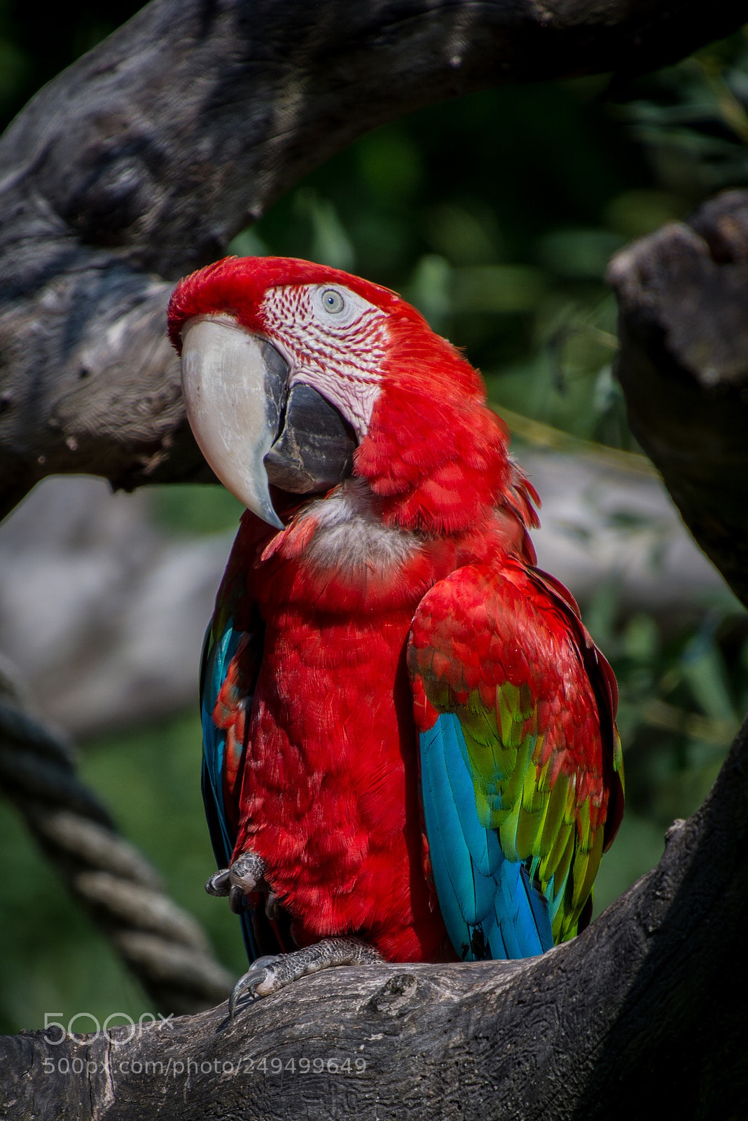 Nikon D7100 sample photo. Mo color photography