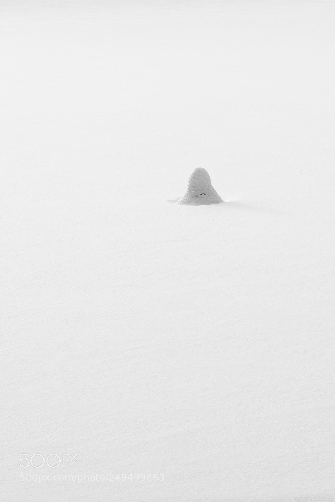 Nikon D5500 sample photo. Winter photography