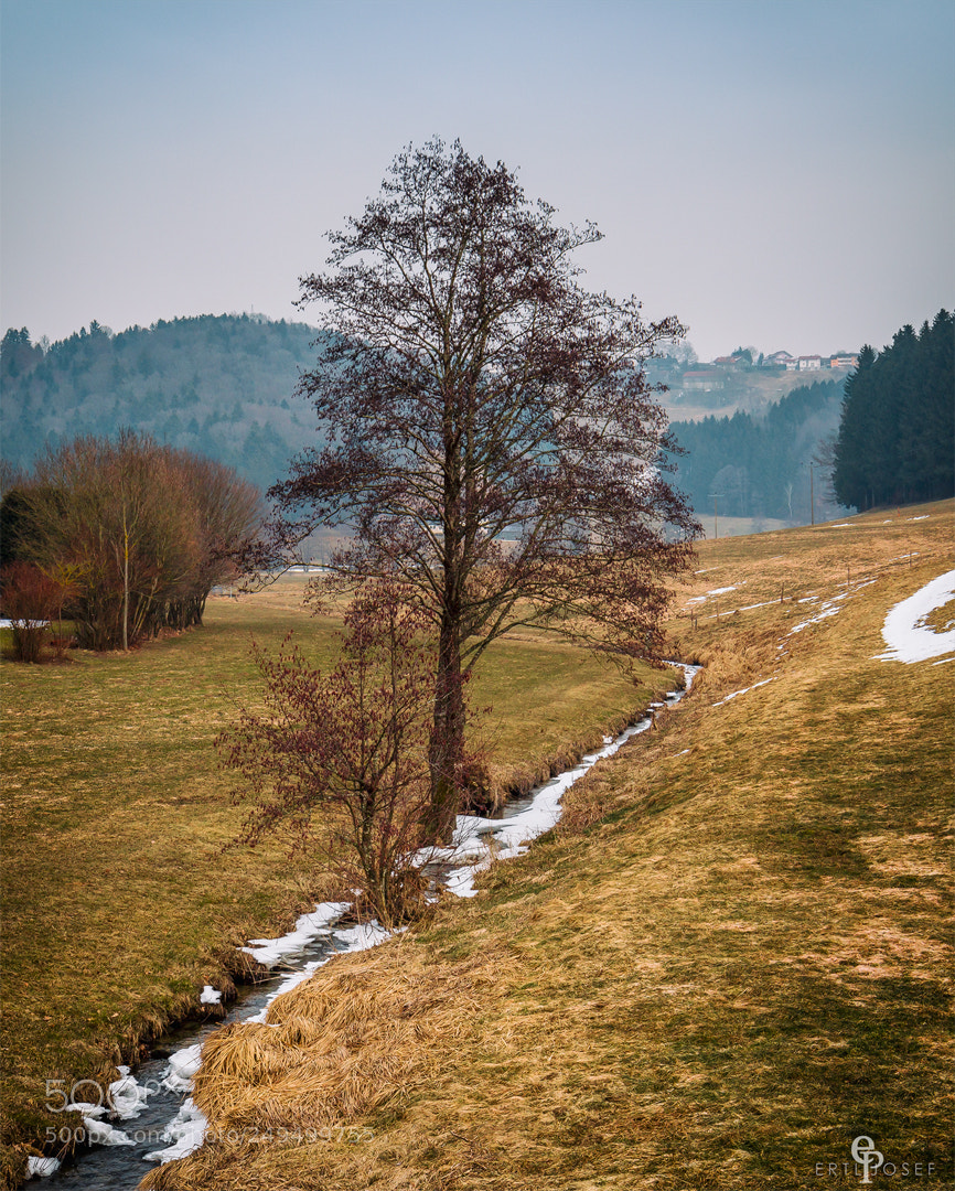 Canon EOS 70D sample photo. Ein kleines st ckl photography