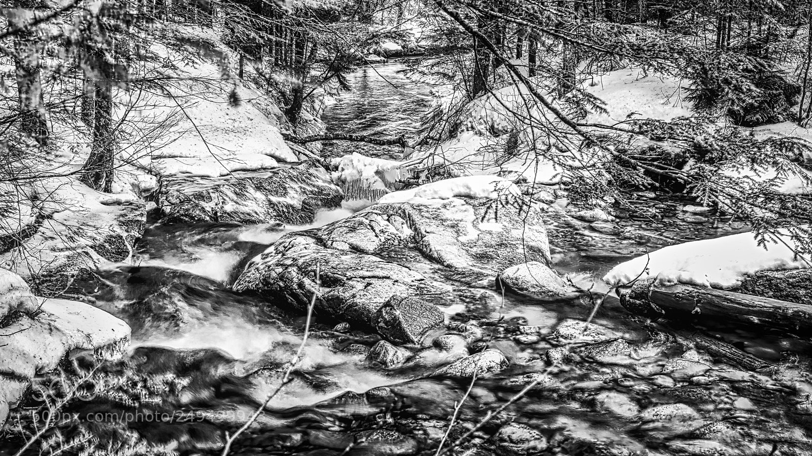 Canon EOS 5D Mark IV sample photo. Cascade brook (bw) photography