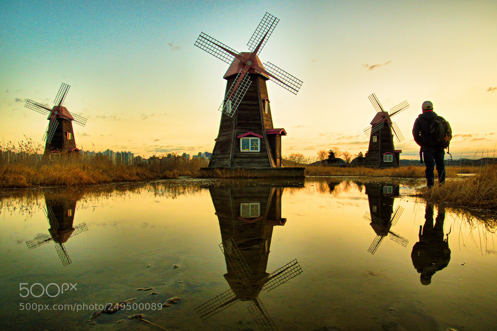 Nikon D500 sample photo. Reflection photography