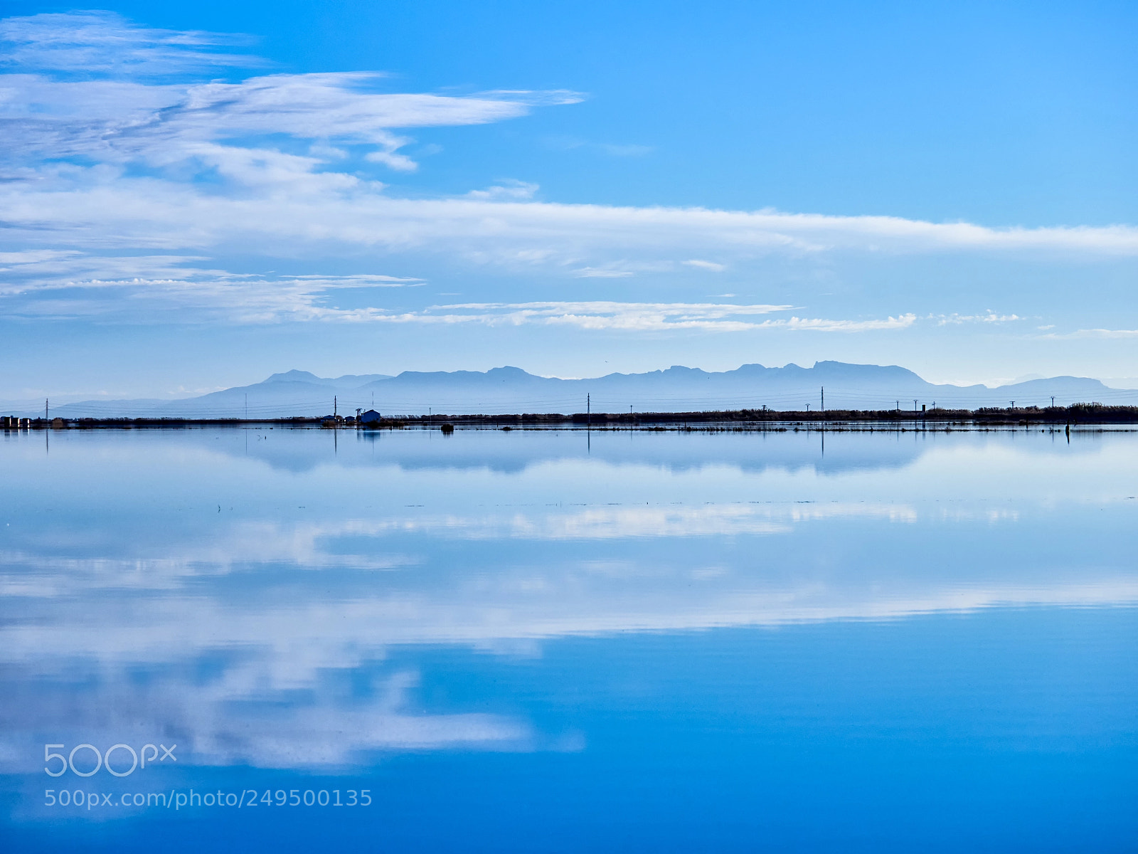 Olympus OM-D E-M1 Mark II sample photo. Reflejos de la albufera photography