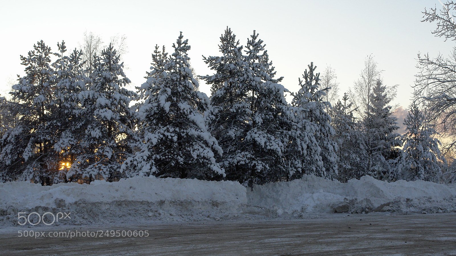 Sony DSC-R1 sample photo. Солнце клонилось к закату. photography