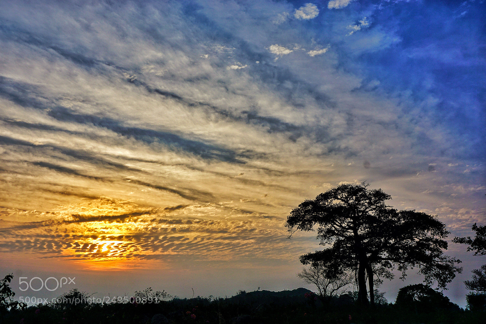 Sony a6000 sample photo. Sunset photography