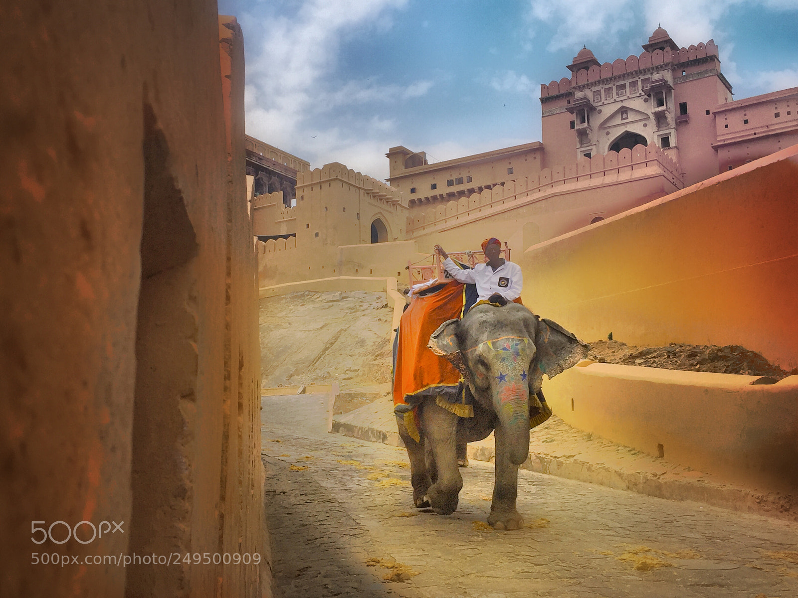 Apple iPhone 6 sample photo. India elephant walk photography