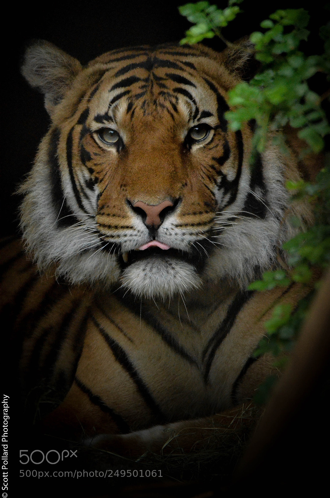 Nikon D7000 sample photo. Connor. photography
