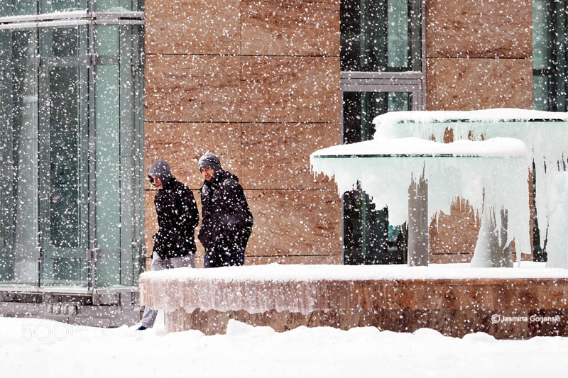Olympus OM-D E-M1 Mark II sample photo. Frozen photography