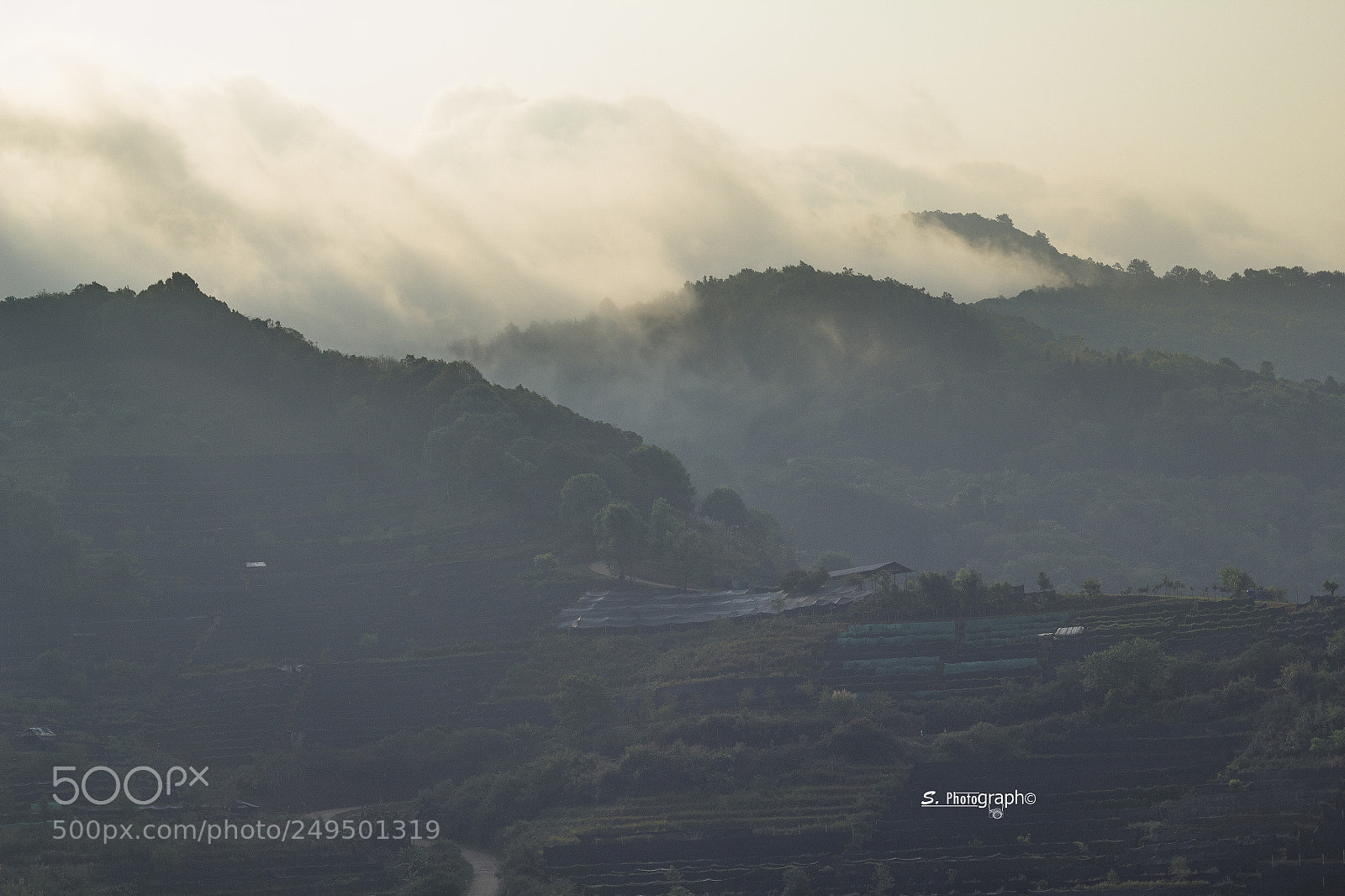 Canon EOS 60D sample photo. Morning on mountain photography