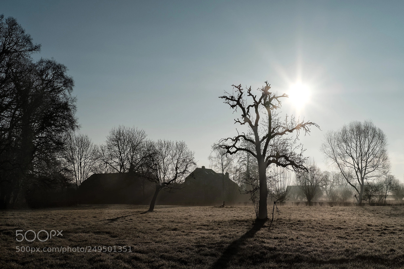 Fujifilm X-T2 sample photo. Sunrise photography