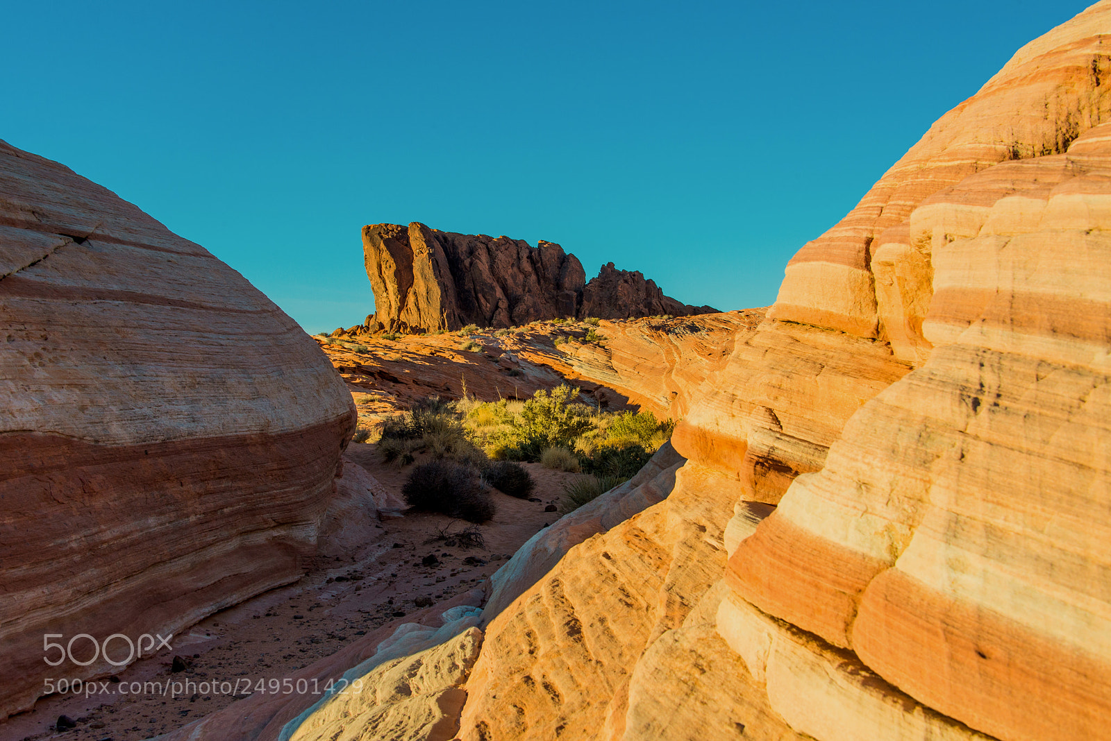 Nikon D600 sample photo. In the valley of photography