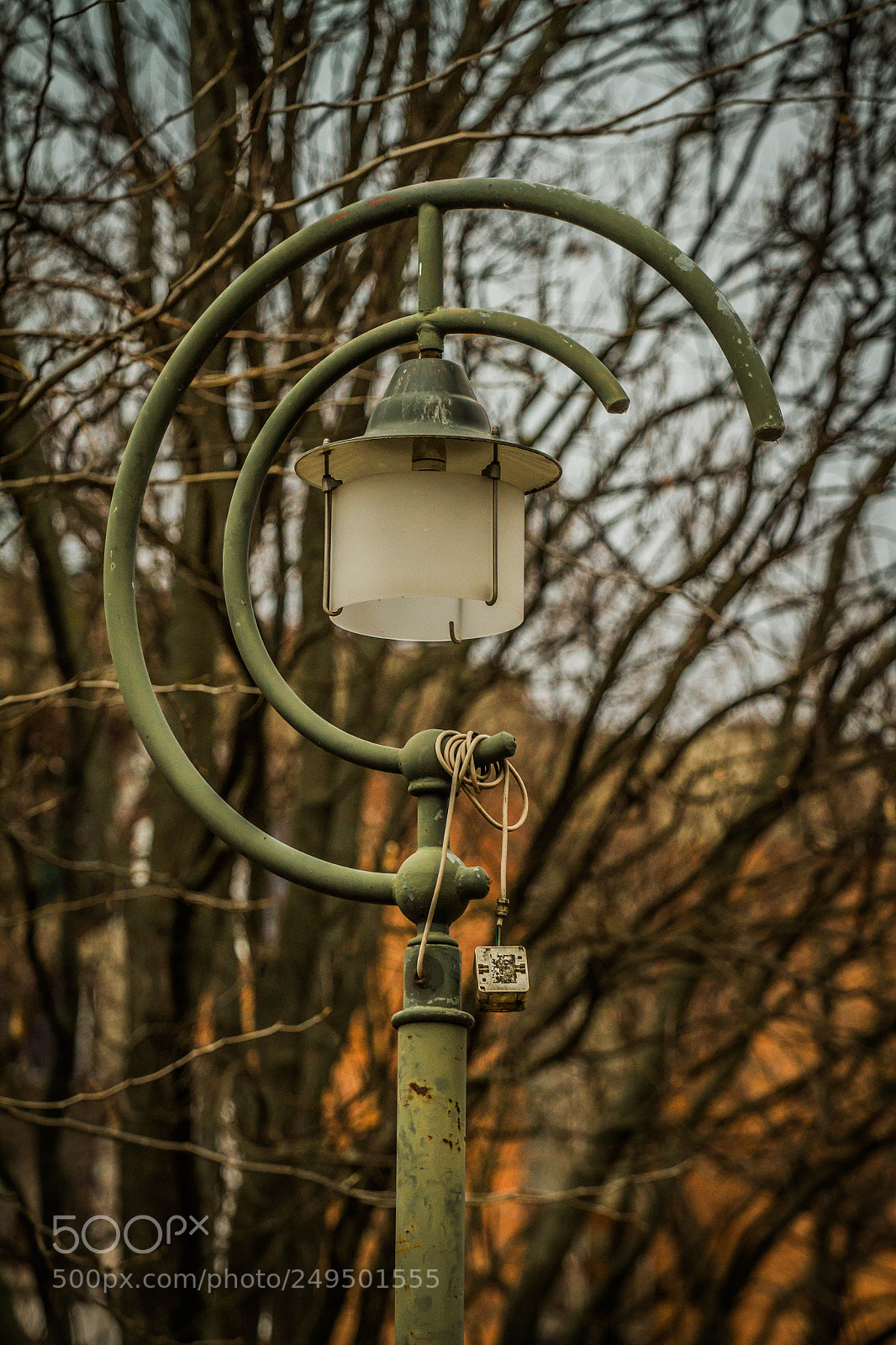 Canon EOS 7D sample photo. The lamp. photography