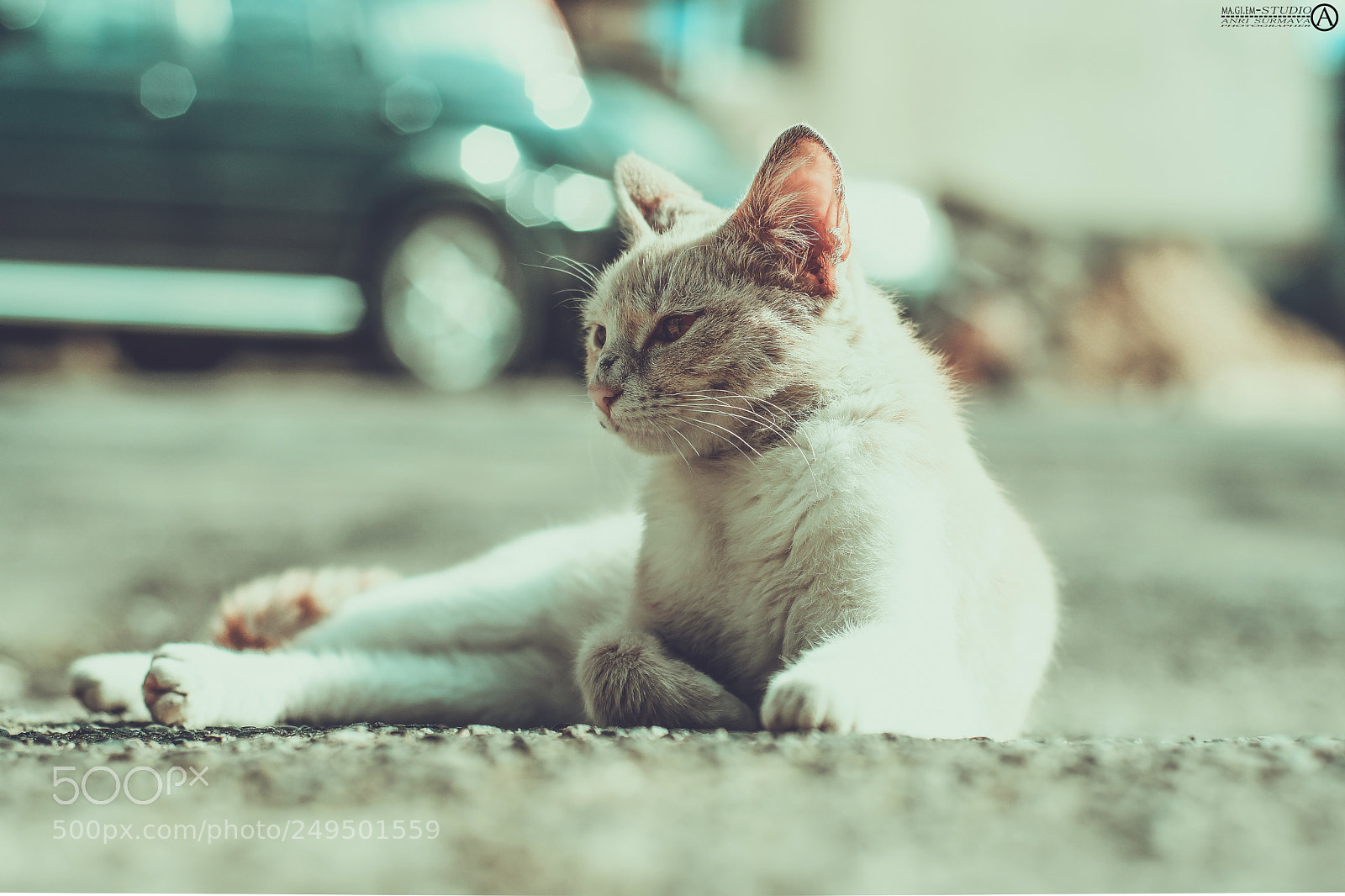 Nikon D7100 sample photo. Untitled photography